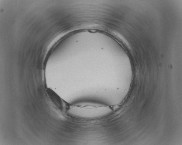 X0000076271324200610262020