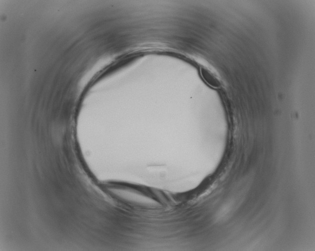 X0000076271325200610262020