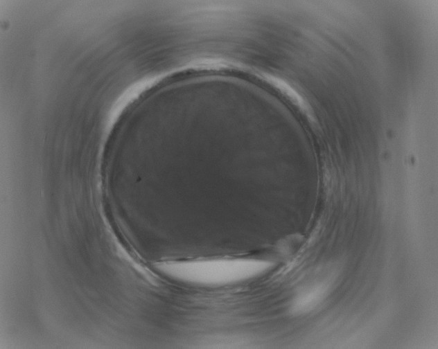 X0000076271327200610262020