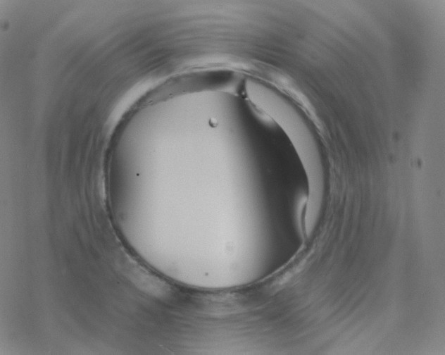 X0000076271328200610262020