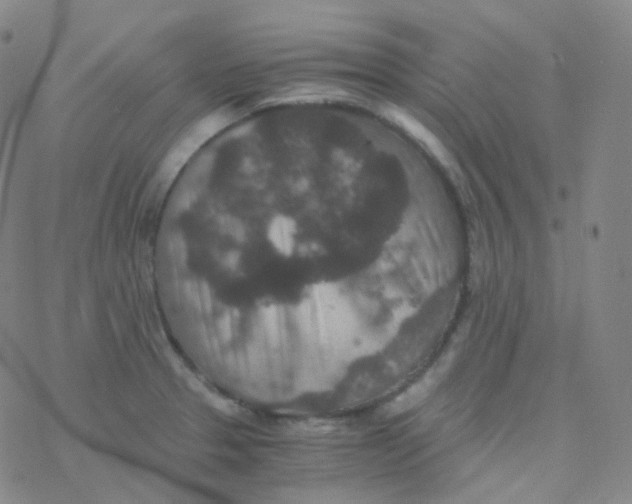 X0000076271329200610262020