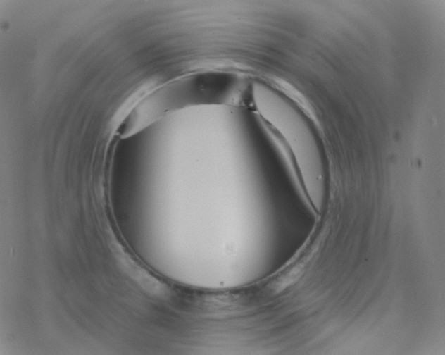 X0000076271330200610262020