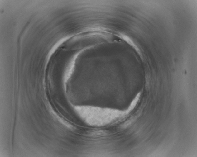 X0000076271331200610262020