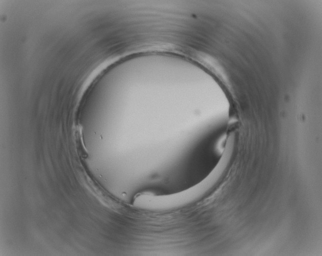 X0000076271332200610262021