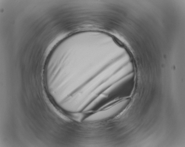 X0000076271333200610262021