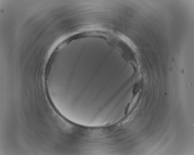 X0000076271334200610262021