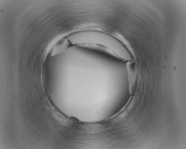 X0000076271336200610262021