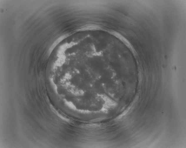 X0000076271337200610262021