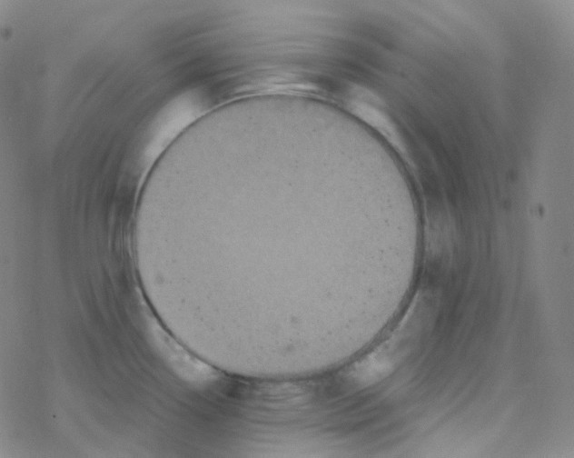 X0000076271338200610262021