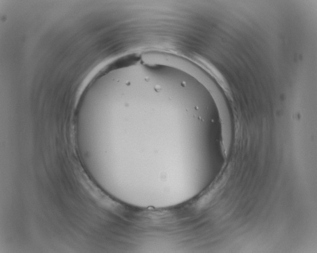 X0000076271340200610262021