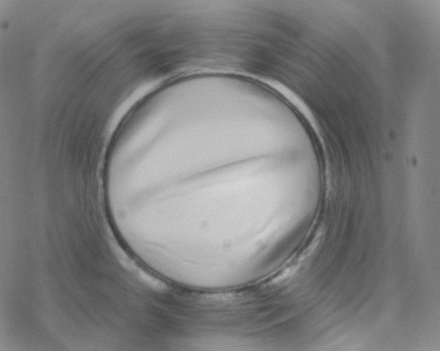 X0000076271341200610262021