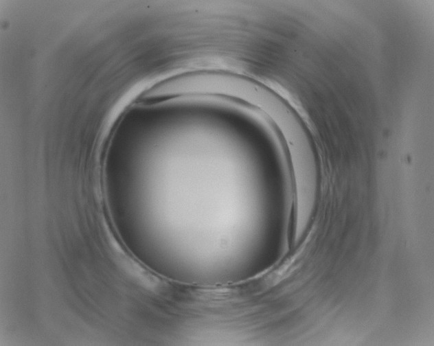 X0000076271342200610262021