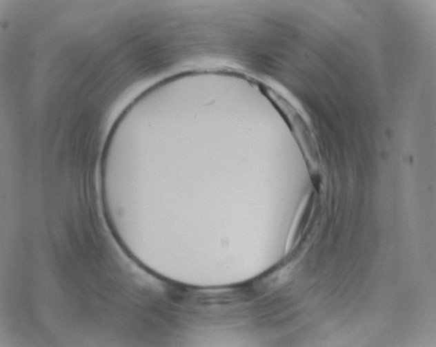 X0000076271343200610262021