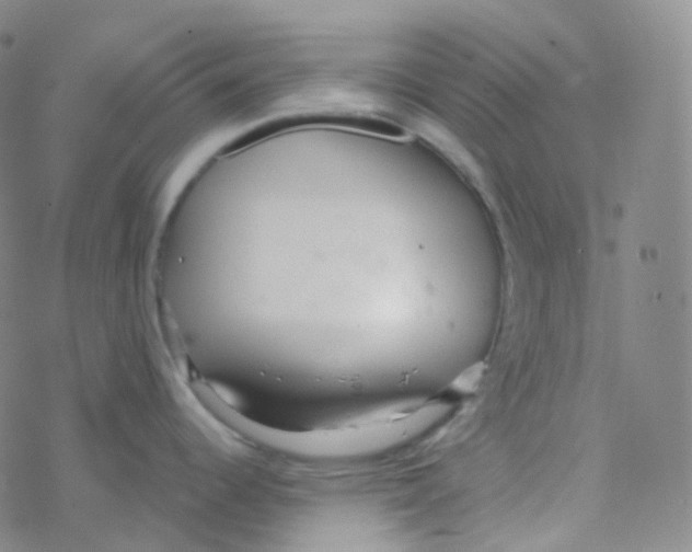 X0000076271344200610262021