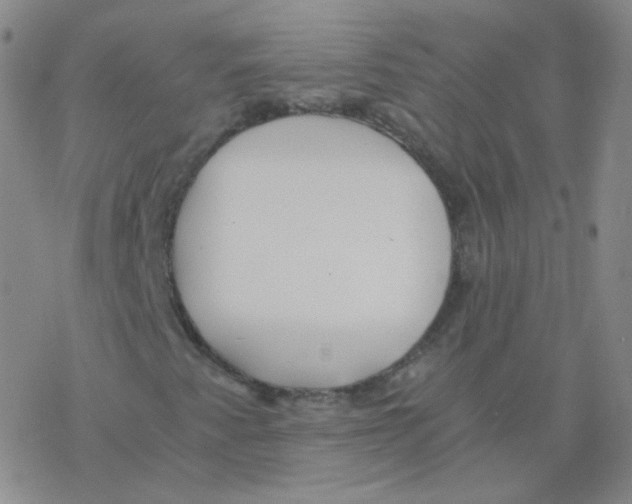 X0000076271345200610262020