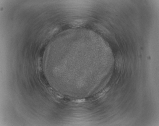 X0000076271346200610262020