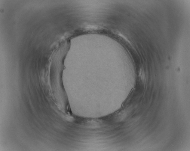 X0000076271348200610262020