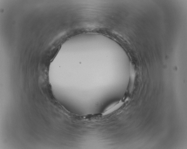 X0000076271349200610262020