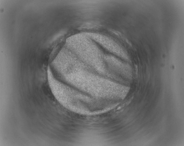 X0000076271350200610262020