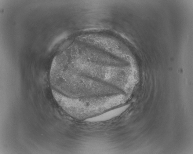 X0000076271351200610262020