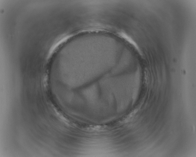 X0000076271352200610262020