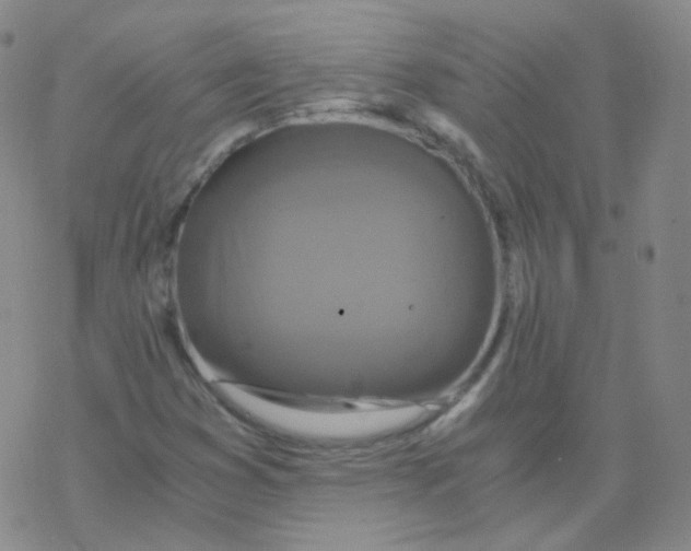 X0000076271353200610262020