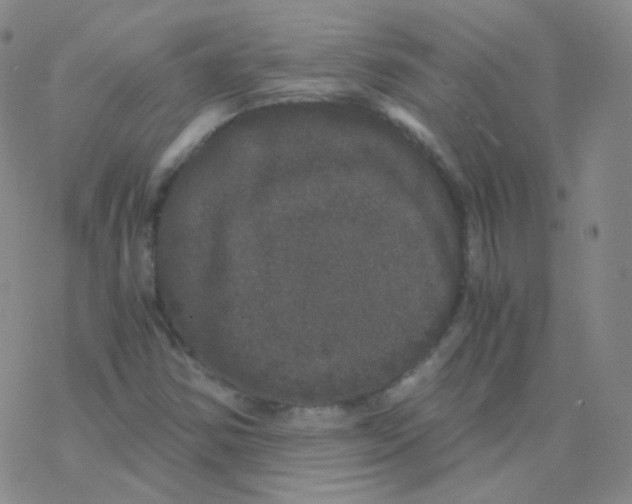 X0000076271354200610262020