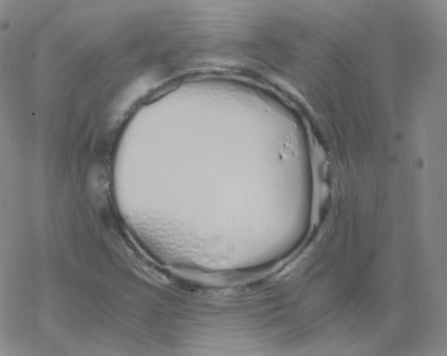 X0000076271355200610262020