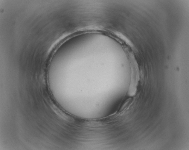 X0000076271356200610262020