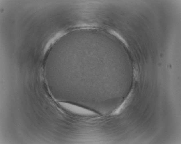 X0000076271357200610262020