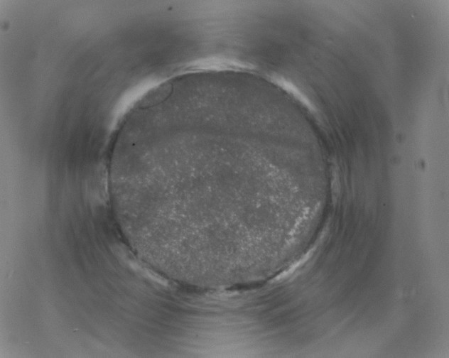 X0000076271358200610262020