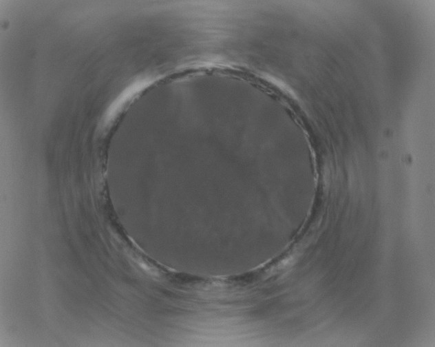 X0000076271359200610262020