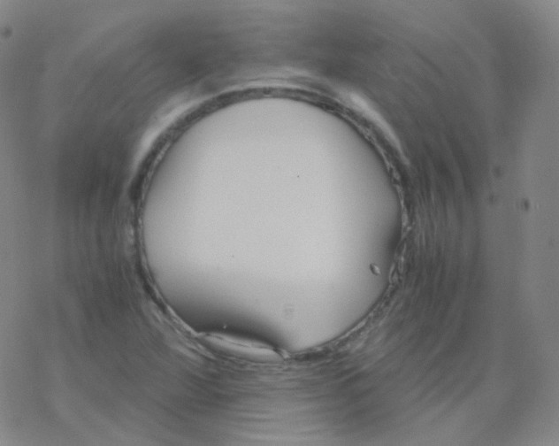 X0000076271360200610262020