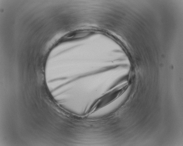 X0000076271363200610262020