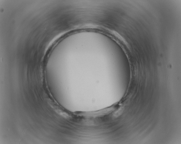 X0000076271364200610262020