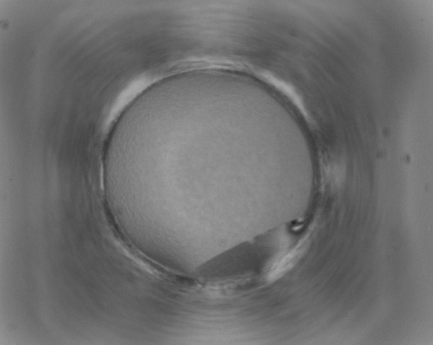 X0000076271365200610262020