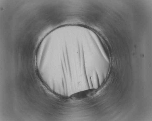 X0000076271366200610262020