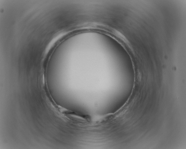 X0000076271368200610262020