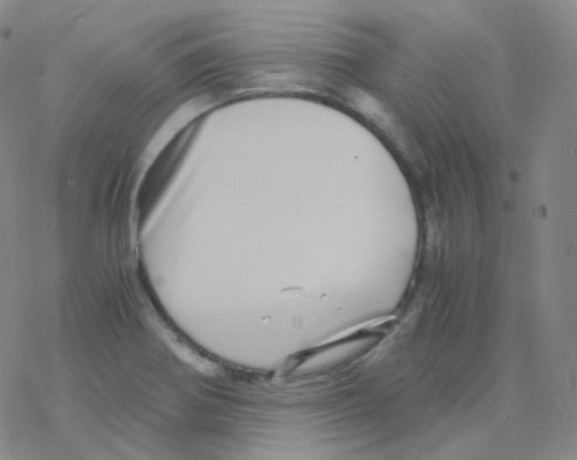 X0000076271370200610262020