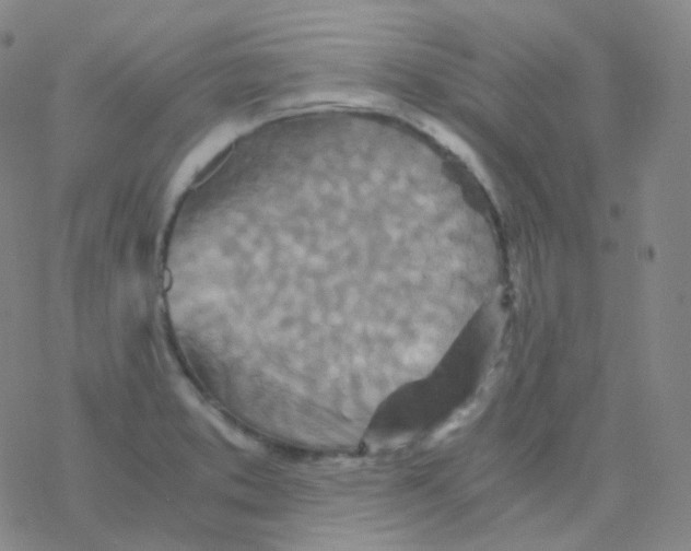 X0000076271373200610262019