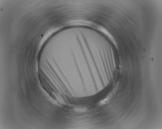 X0000076271376200610262019