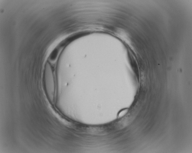 X0000076271379200610262019