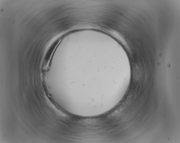 X0000076271380200610262019