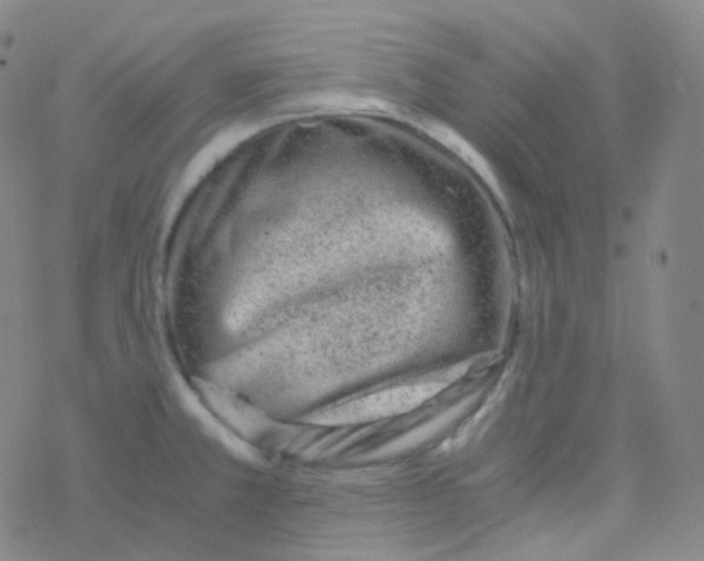 X0000076271381200610262019