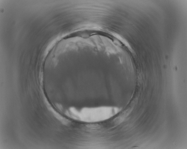 X0000076271383200610262019