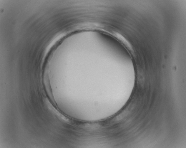 X0000076271384200610262019