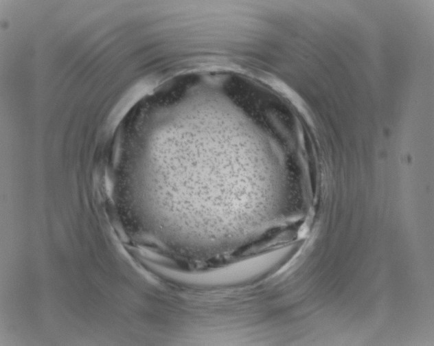 X0000076271385200610262019