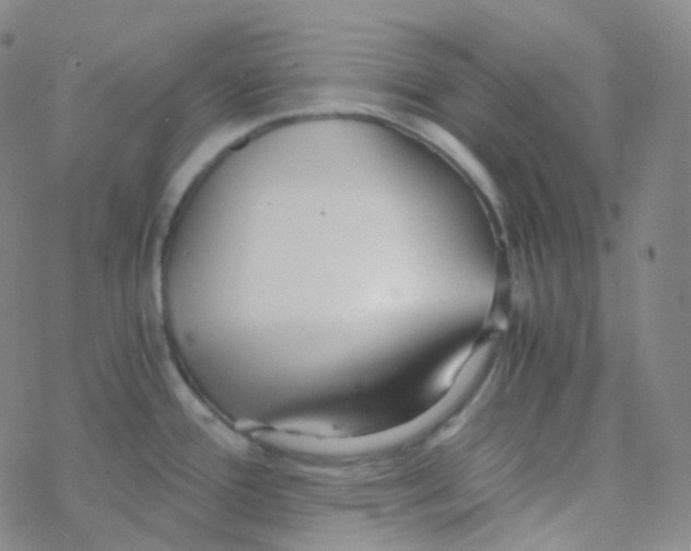 X0000076271388200610262019