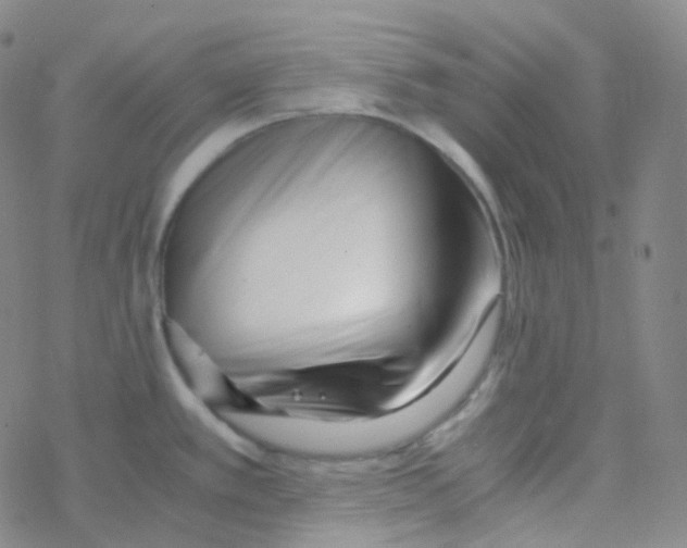 X0000076271389200610262019