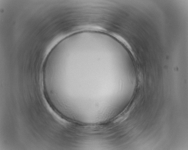 X0000076271391200610262019